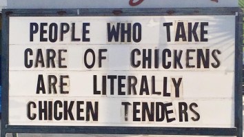 42 Of The Best Damn Photos On The Internet This Morning