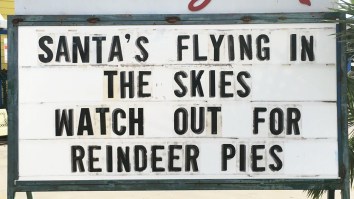 42 Of The Best Damn Photos On The Internet This Morning