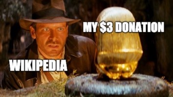 43 Of The Best Damn Photos On The Internet This Afternoon
