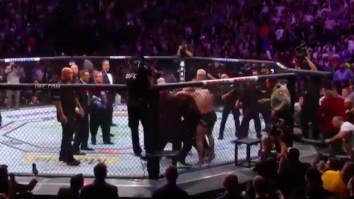 Remember That Random Guy Who Ran Into The Octagon To Protect McGregor At UFC 229? Yeah, He’s Banned