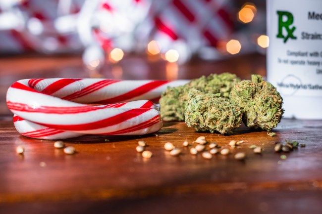Giving Marijuana For Christmas