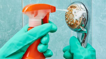 Here’s The Disgusting Reasons Why You Need To Clean Your Showerhead, Like Right F*cking Now!