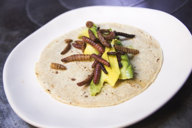 taco de escamoles con aguacate