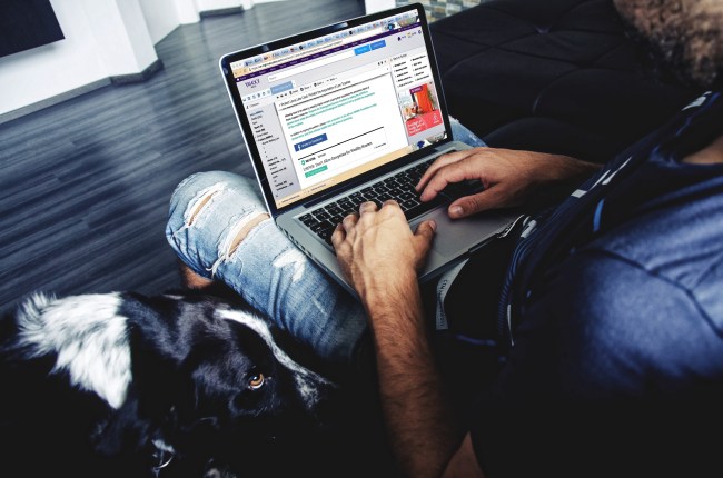 job search