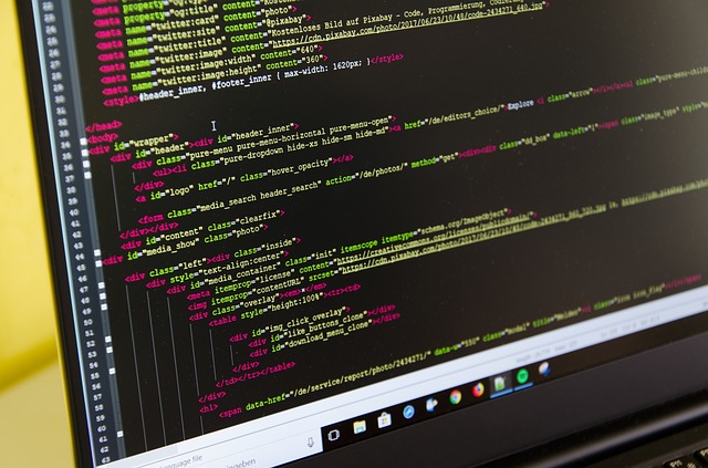 software developer code