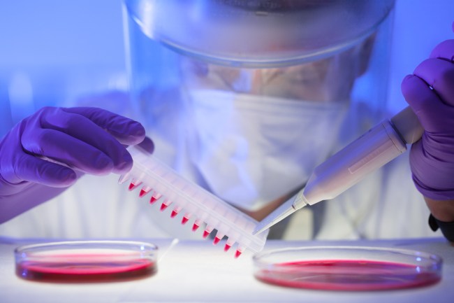 cure for cancer discovered