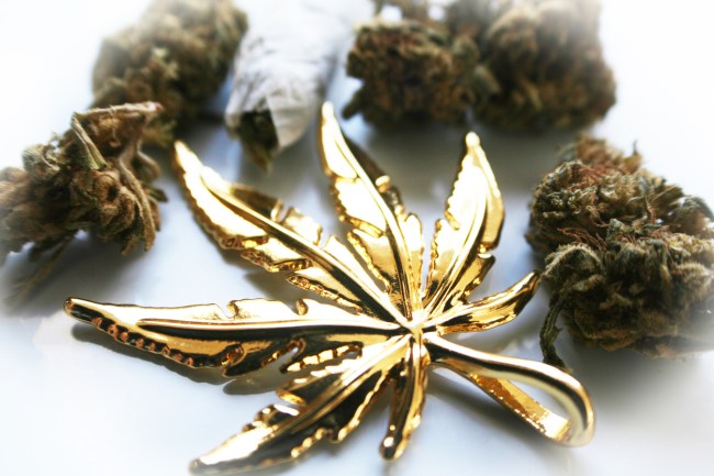 most expensive blunt