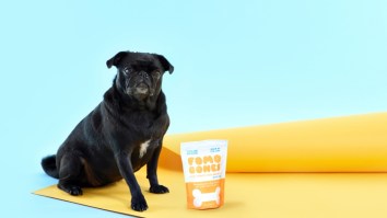 Your Dog Has Worse FOMO Than You Do, But FOMO Bones CBD Dog Treats Will Help Keep It Mellow