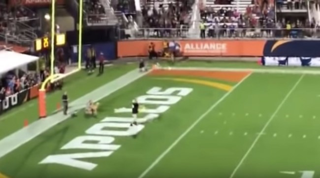 dog catches 83-yard frisbee AAF Orlando game