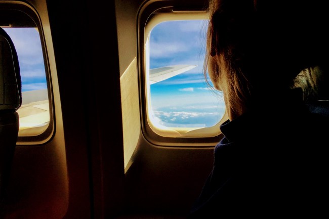 flight airplane
