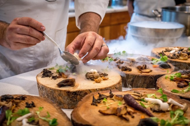 appetizers-chef-cooking