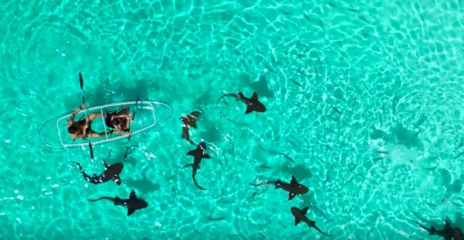 bahamas tourism video fyre festival