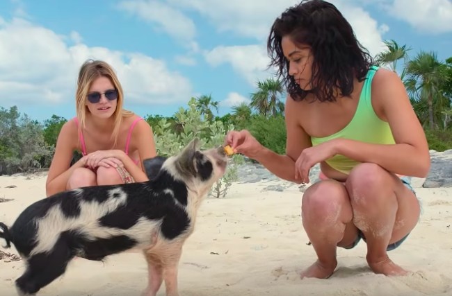 bahamas tourism video fyre festival