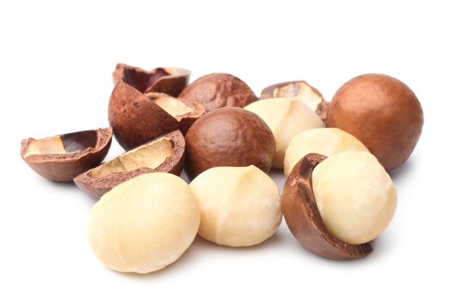 Macadamia nut on white background