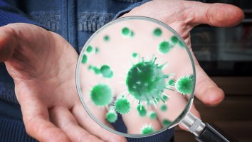 These Scary Facts About Germs Will Make You Want To Bathe In Hand Sanitizer Immediately