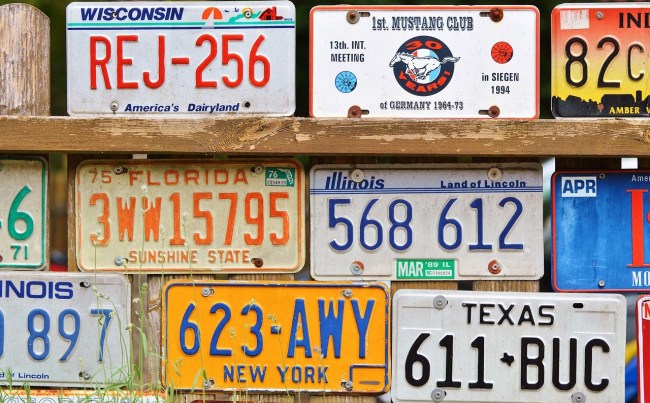 david assman license plate decal