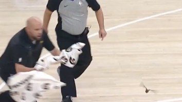 All Hell Broke Loose When A Swooping Bat Stopped The Pacers-Clippers Game Twice And Nobody Could Catch It