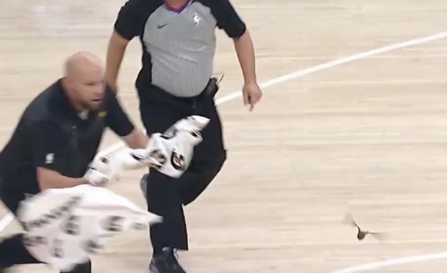 Pacers Clippers Bat Stops Game
