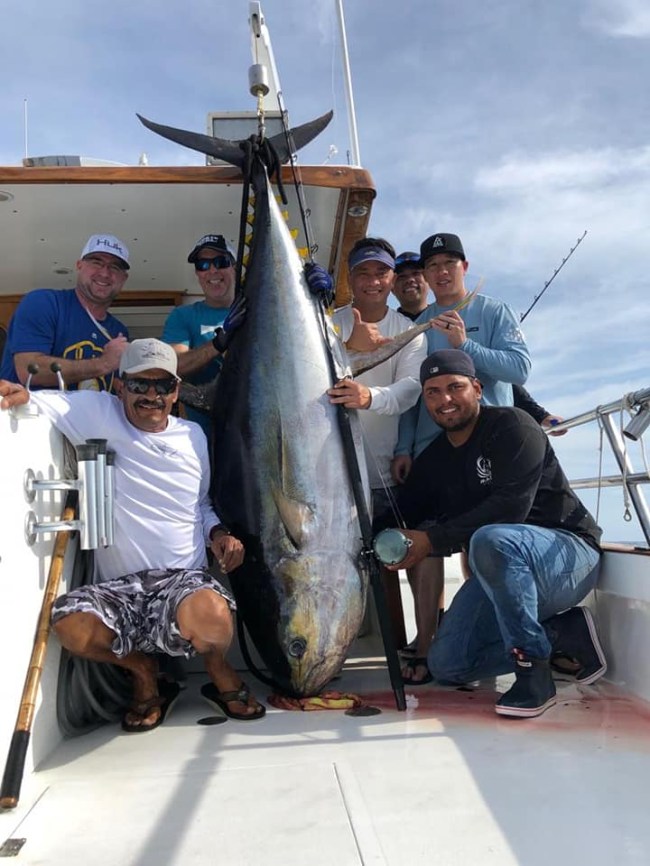 record yellowfin tuna