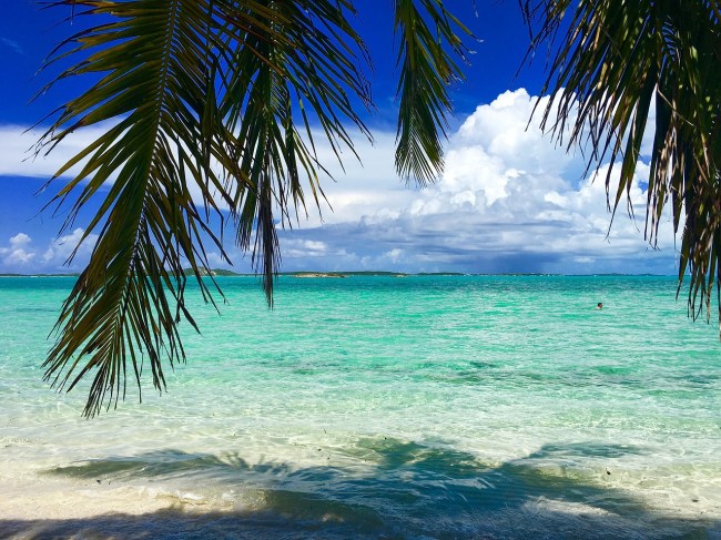 bahamas us federal travel advisory