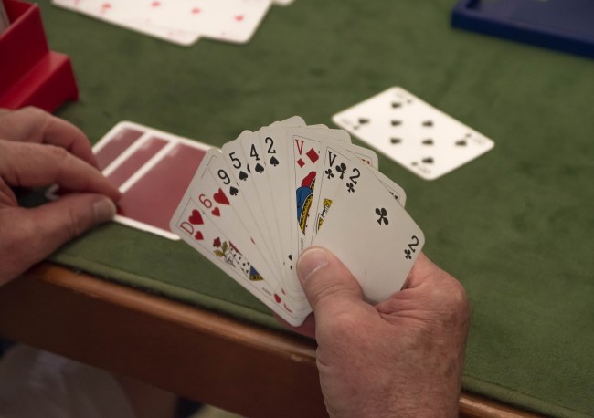 World number one bridge player handed one-year ban for doping