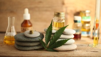How CBD Helped Keep Me Relaxed And Still Focused Throughout The Day