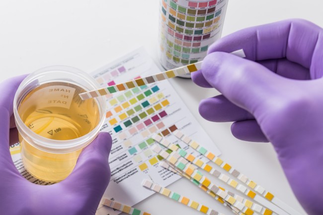 will cbd make you fail a drug test