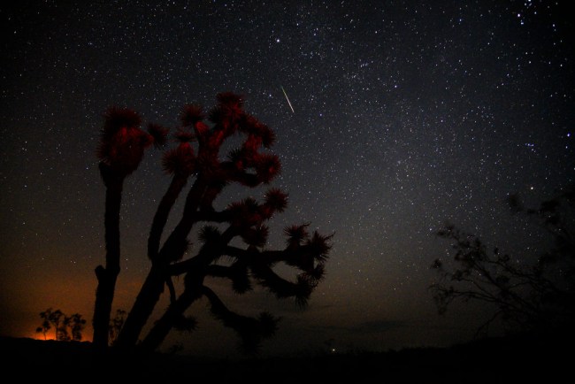TRONA, CA - AUGUST 13: A meteorite streaks over a Yucca Tree on August 13, 2018 near Death Valley during annual Perseid Meteor Shower in Trona, California. (Photo by Bob Riha Jr./Getty Images)