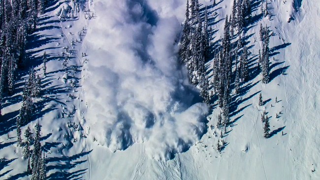avalanche colorado