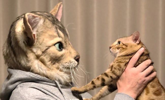 Japanese Company Will Make A Creepy Realistic Mask Of Your Pets Face