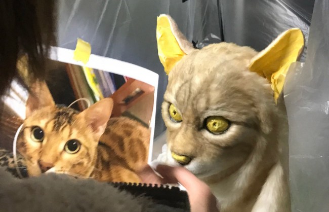 Japanese Company Will Make A Creepy Realistic Mask Of Your Pets Face