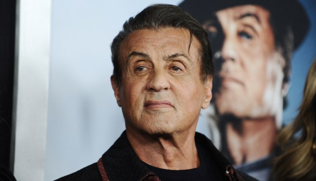 Sylvester Stallone Worried About Conor McGregor, Gives Him Advice