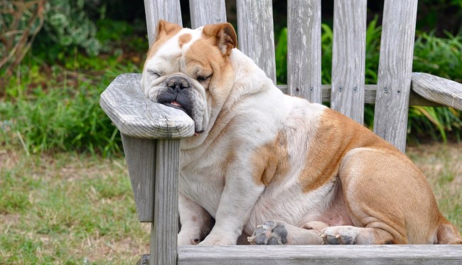 The Best Most Angry Twitter Reactions To Daylight Saving Time