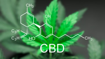 MillerCoors Sues Anheuser-Busch InBev Over Super Bowl Ad, CVS To Sell CBD, And More