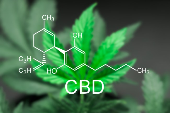 what is cbd