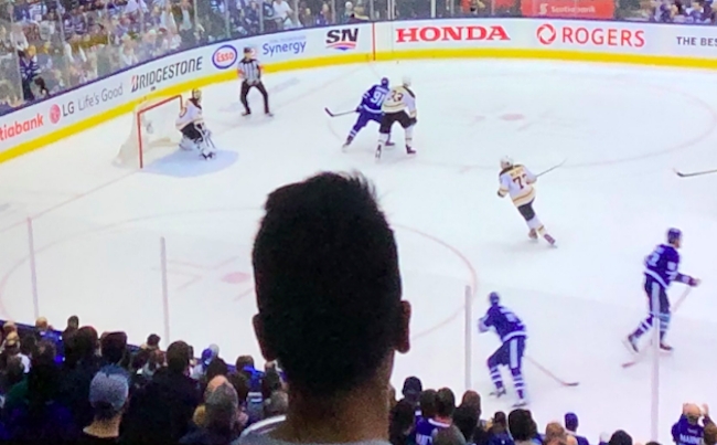 bruins leafs fan head
