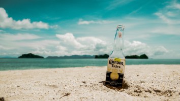We Could Be Facing A Serious Beer Shortage If Donald Trump Closes The Mexican Border