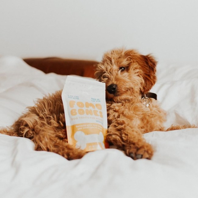 fomo bones cbd dog treats
