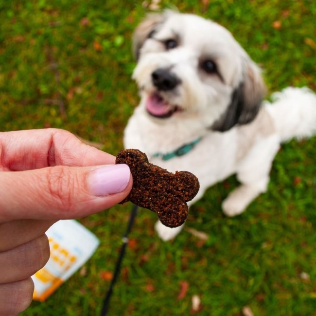 fomo bones cbd dog treats