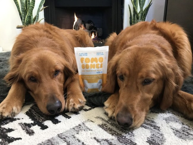 fomo bones cbd dog treats