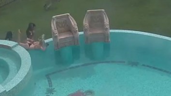 Kangaroo Chases Instagram Models During Photoshoot At Playboy’s Mansion