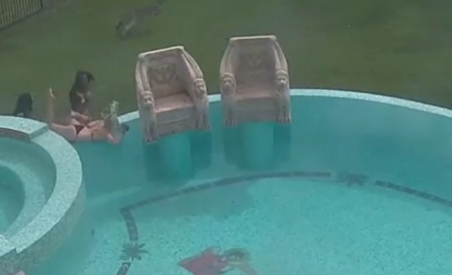 Kangaroo terrorizes models during photoshoot at playboy’s mansion