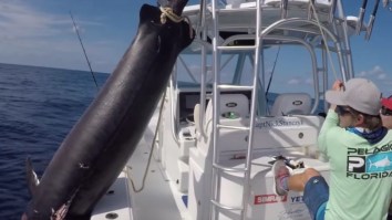 Florida Keys Capt. Lands Absolutely Enormous 757-Pound Swordfish That Took 8-Hours To Catch