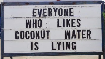 50 Of The Best Damn Photos On The Internet Today