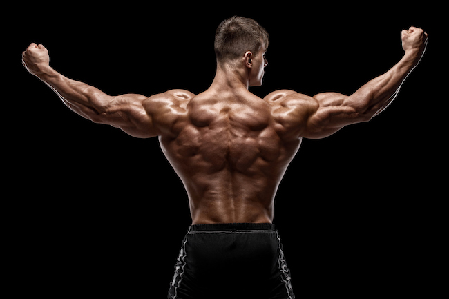Shoulder Exercises Get Bigger