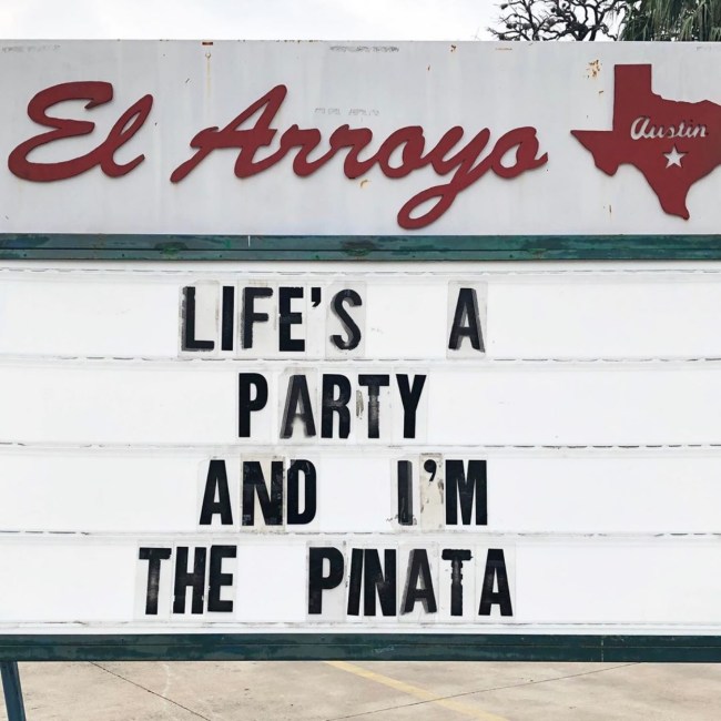 best funny pics 2019
