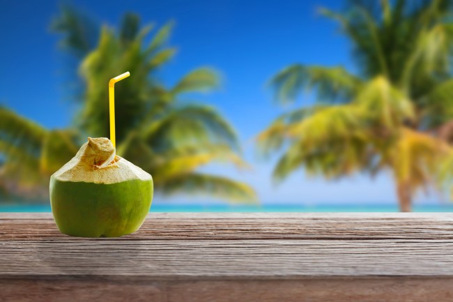 coconut water company social media