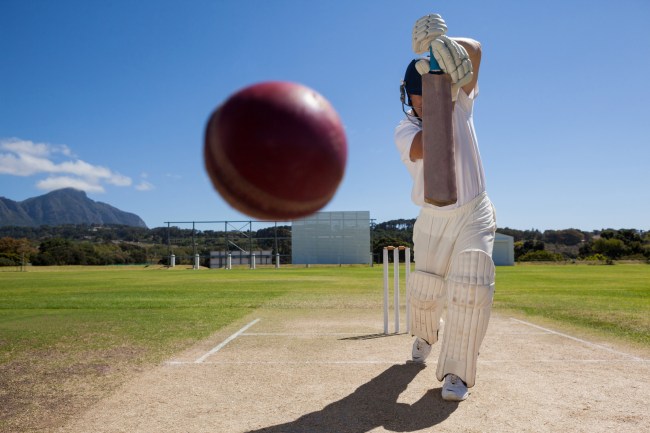 Cricket sport ball and bat