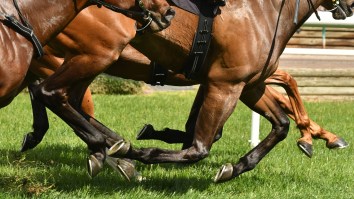 The Belmont Stakes Will Soon Be The First Leg Of The Triple Crown This Year But Will Look Entirely Different Than It Has In The Past
