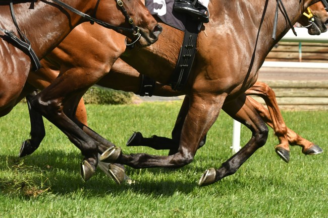 horse racing feet on turf